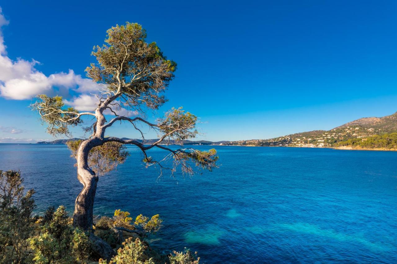 Vistazur Luxueux appartement avec terrasse et piscine Le Le Rayol-Canadel-sur-Mer Esterno foto